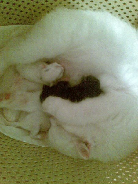 №138, Марина Хованова, 105 лет, Великий Новгород №138, Марина Хованова, 105 лет, Великий Новгород