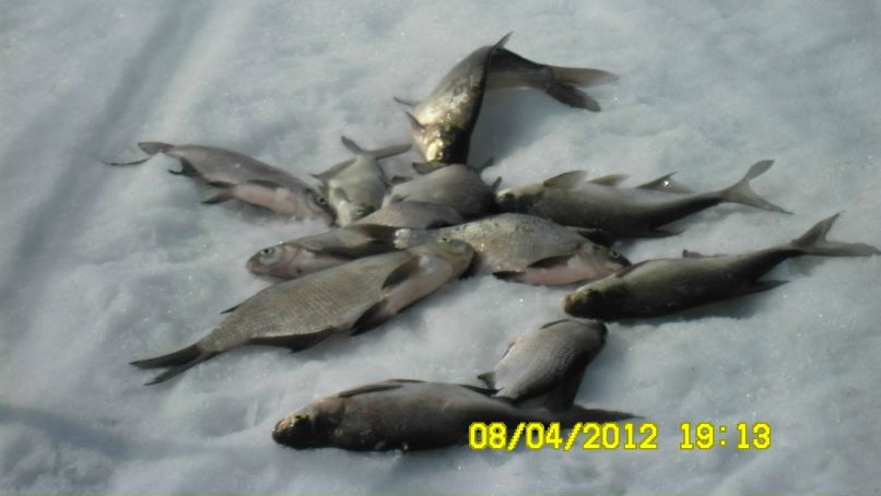 Михаил Силин | Пермь