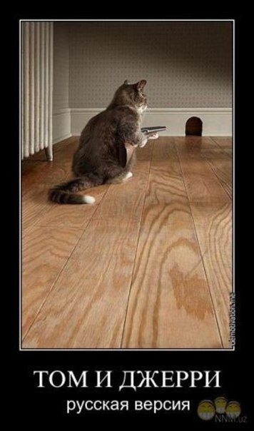 Алексей Шалыгин | Гомель