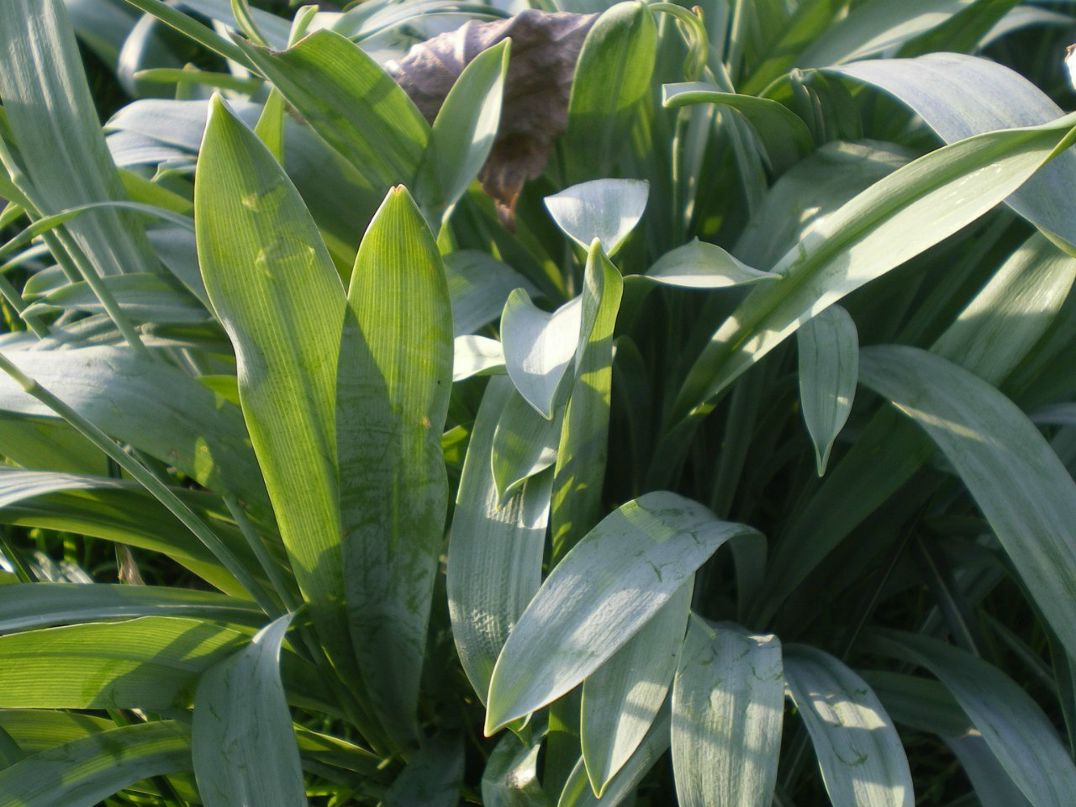 Дарья Ждан-Пушкина | Москва