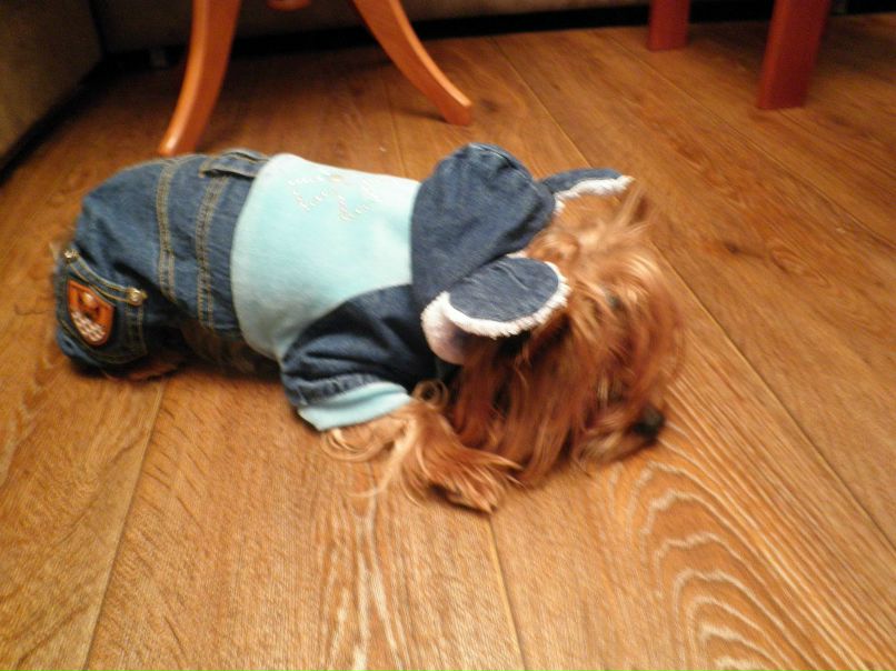 Алина Новикова | Кривой Рог