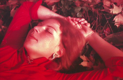 Болотный Крюкозябр | Киев