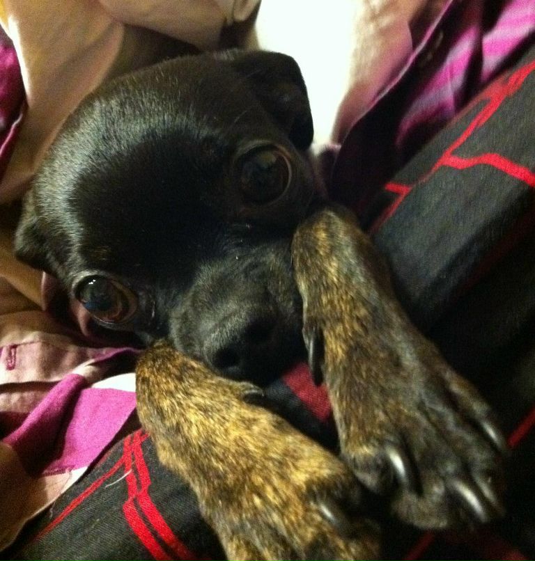 Ксения Мальцева | Санкт-Петербург