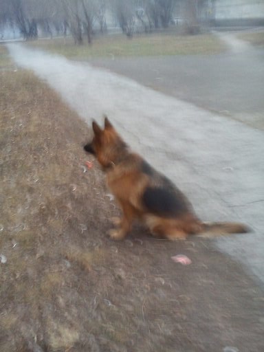 Алексей Кузьминых Валерьевич | Новосибирск