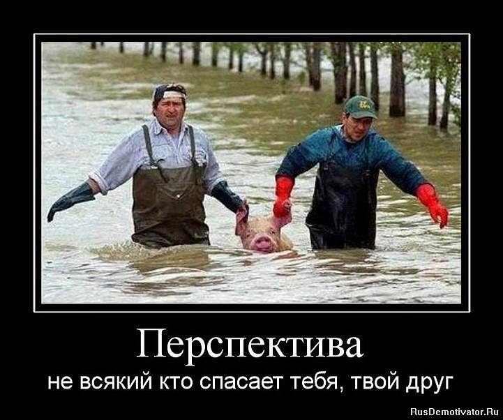 Анатолій Гаврилюк | Чернигов