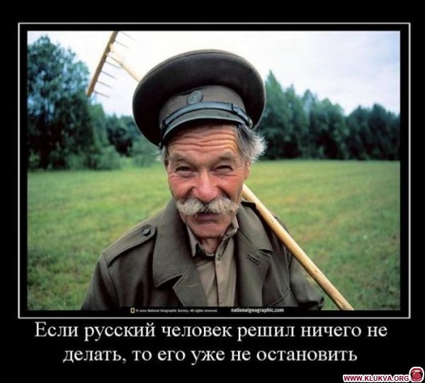 Марина Дьяченко | 