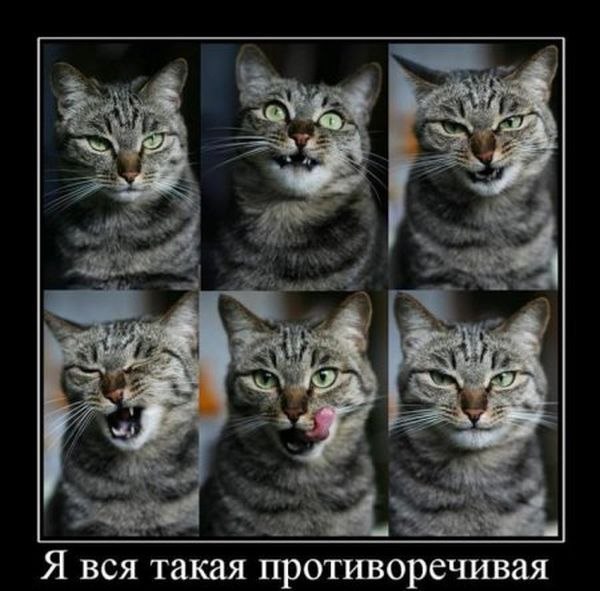 Ольга Чиркова | Ставрополь