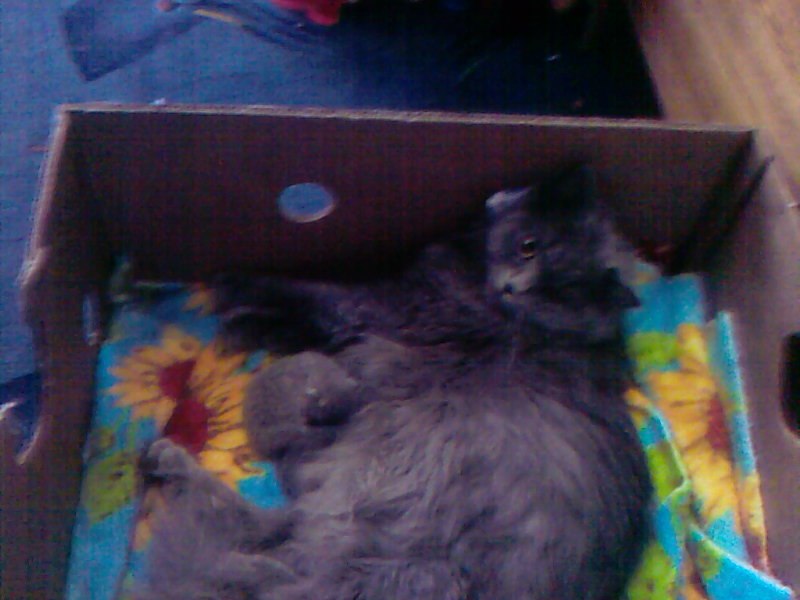 Наташа Крикунова | Горишние Плавни / Комсомольск