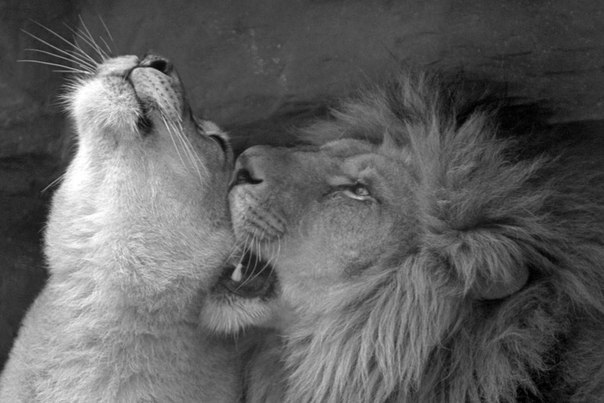 Юлия Наталуха | 