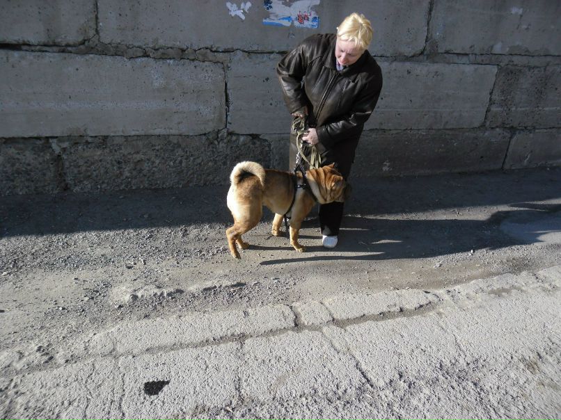 Ирина Даниловская | Новосибирск