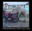 №27 Максим Прозоровский