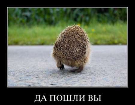 Артем Устьянцев | 