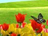 Екатерина Молчанова ☆♫☆♫☆ | Одесса