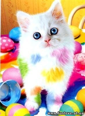 Настя Федотова | Новокуйбышевск