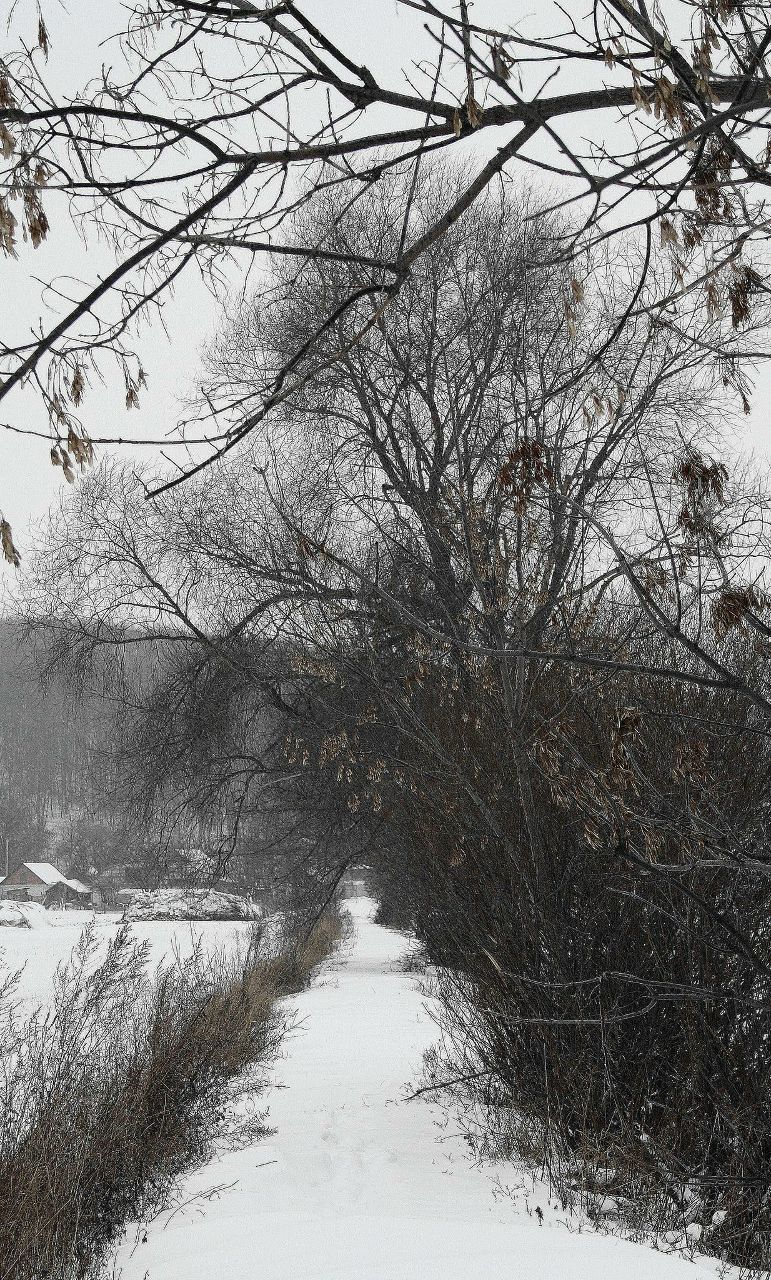 Наталина Удовик | Харьков