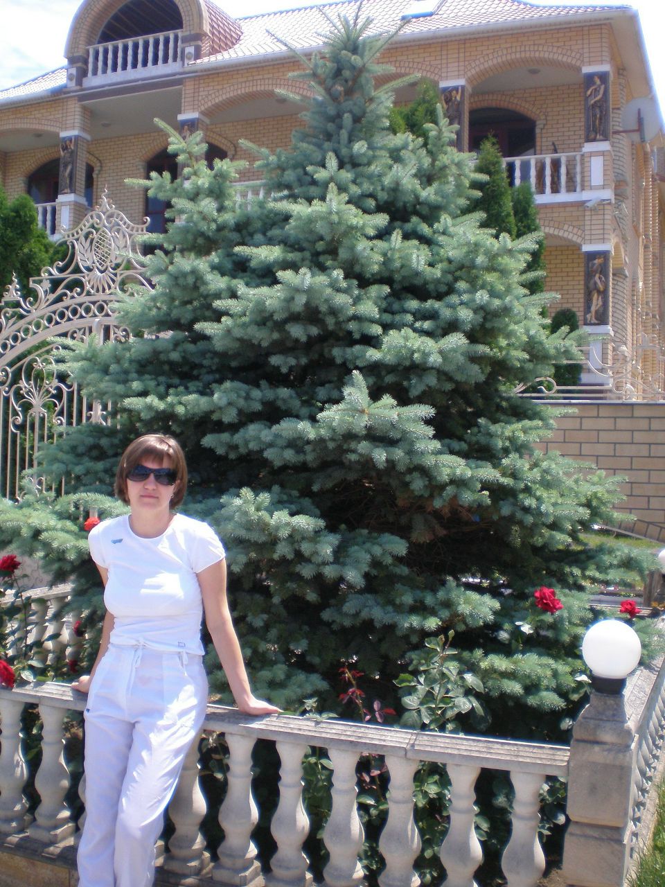 Юлия Палагова | Череповец