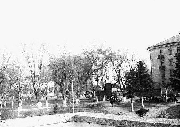 Елена Низамиева | Белая Церковь