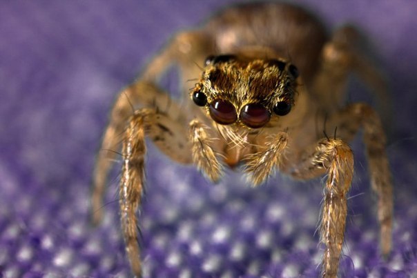 Глеб Быканов | Пенза