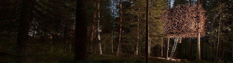 Елена Сорокина | Санкт-Петербург