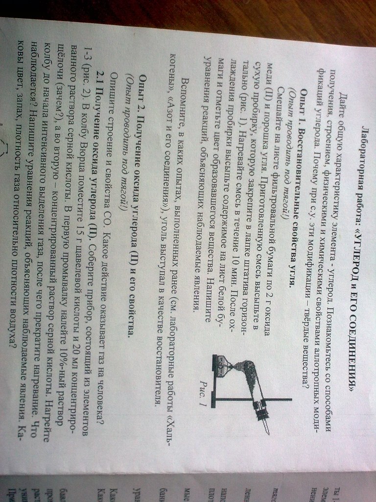 Мария Мишина | Ростов-на-Дону