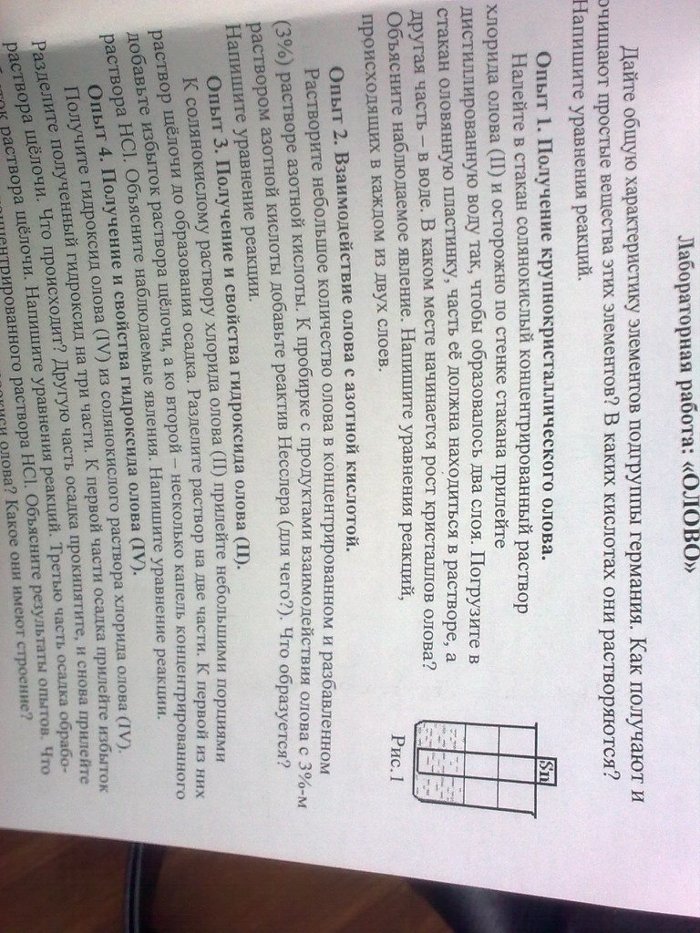 Мария Мишина | Ростов-на-Дону