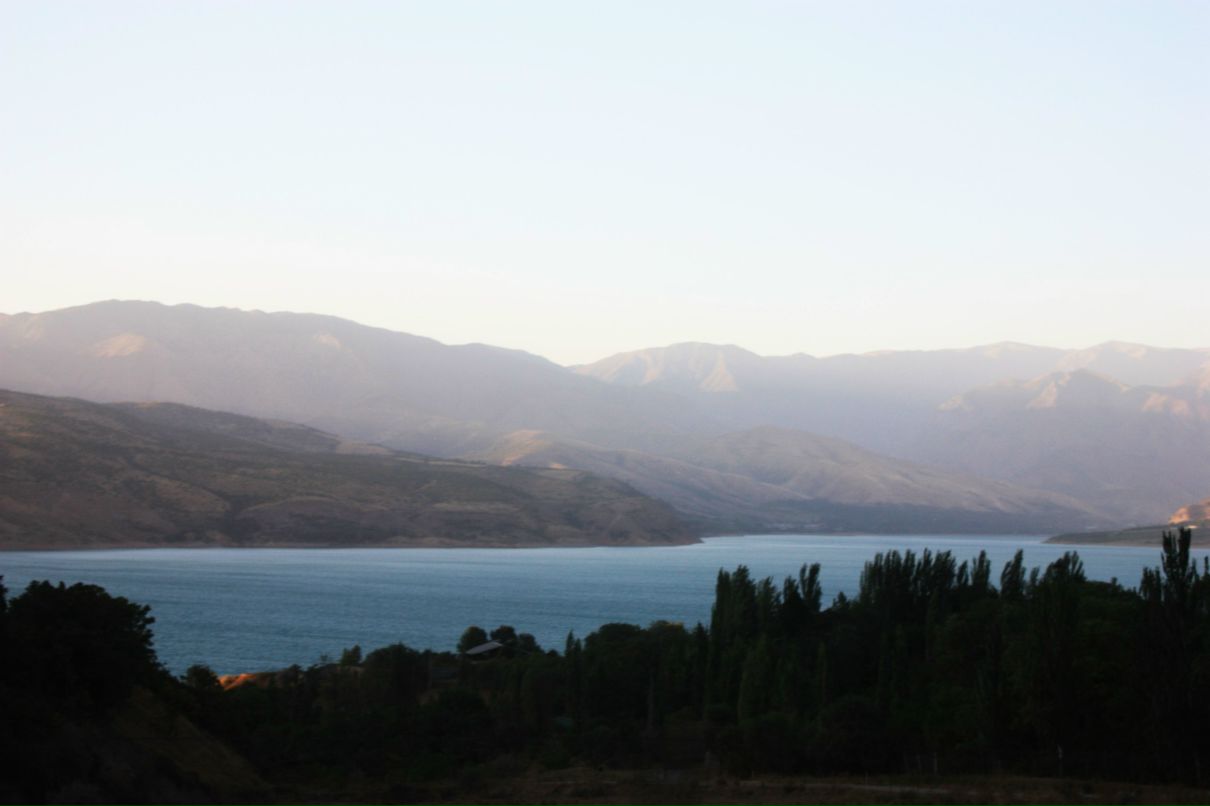 Виктория Липатова ЛИСА | Москва