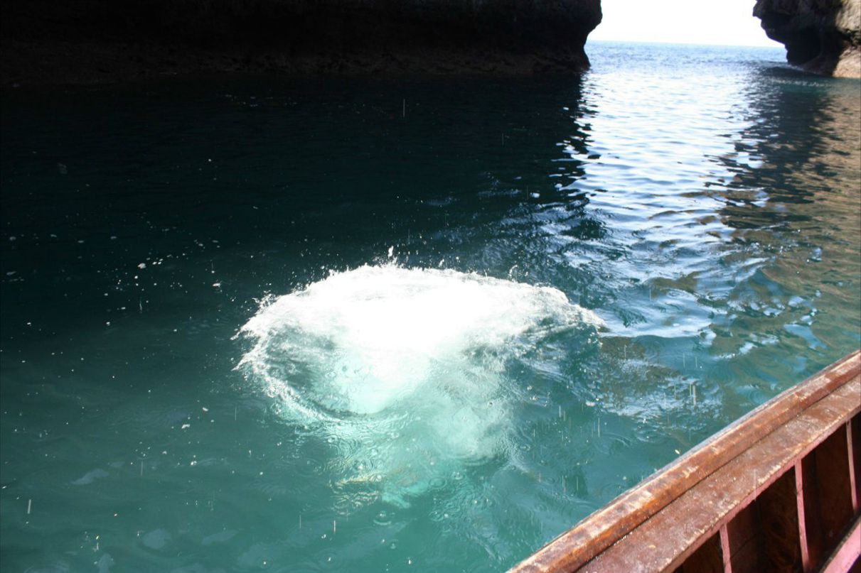 Станислав Эйсмонт | Москва