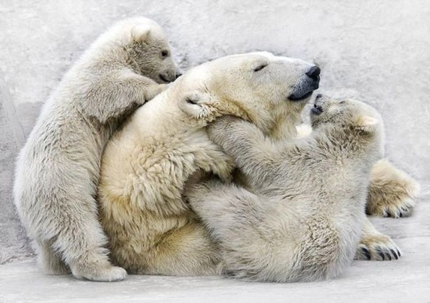 №141, Люба Финина, 40 лет, Брянск №141, Люба Финина, 40 лет, Брянск