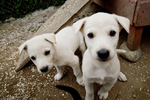 Виктория Савченко | Харьков