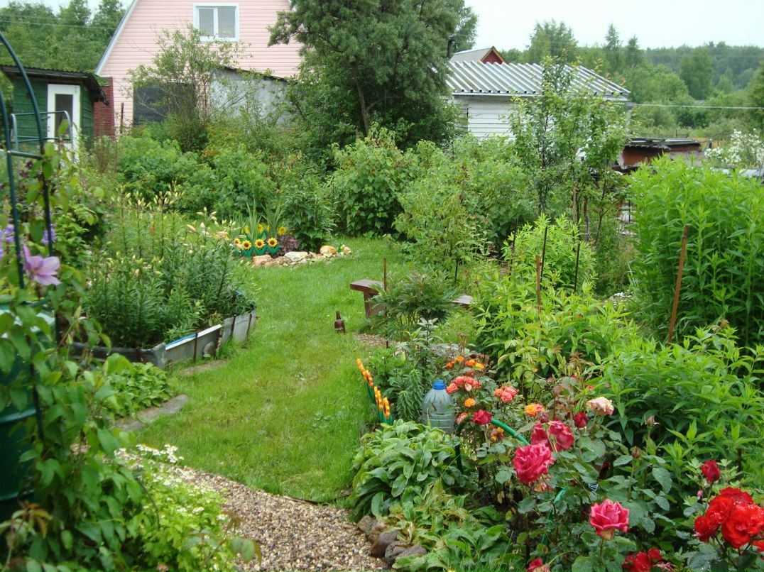 Димасик Педулло | Москва