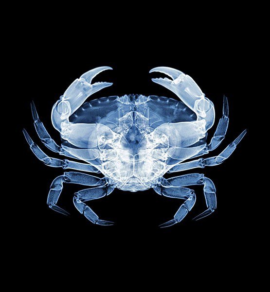 Дмитрий Андреевич | 