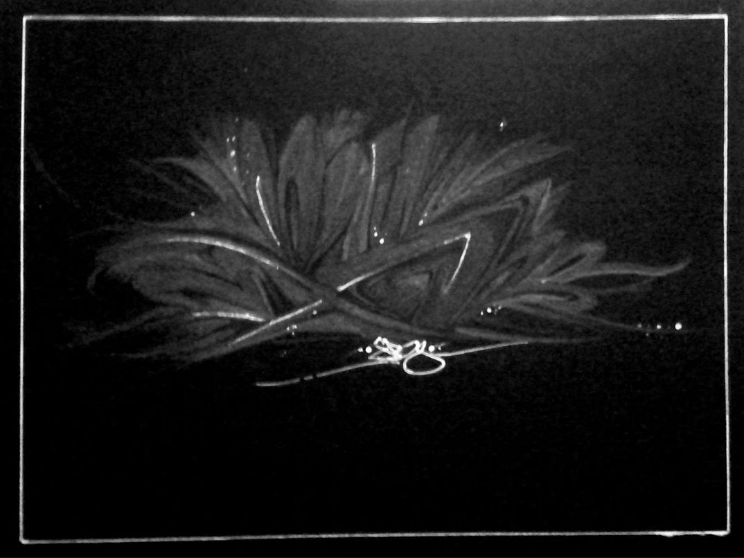 Кирилл Келлий | Санкт-Петербург