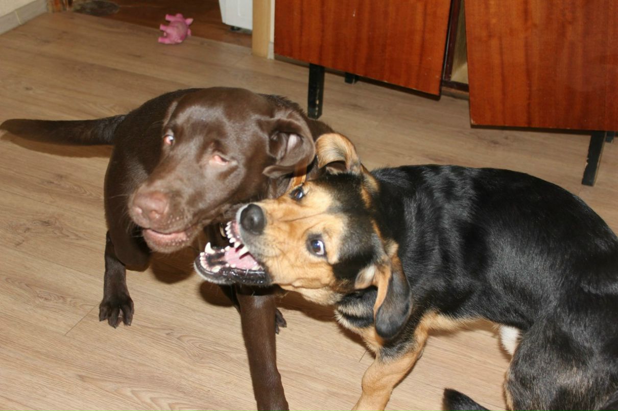 Александра Галынина | Москва