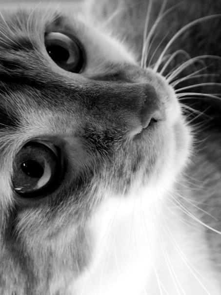 №67, Alisa Nikolaevna, 35 лет, Москва, Россия №67, Alisa Nikolaevna, 35 лет, Москва, Россия