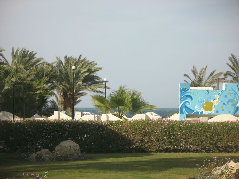 Ярослава Владова | 