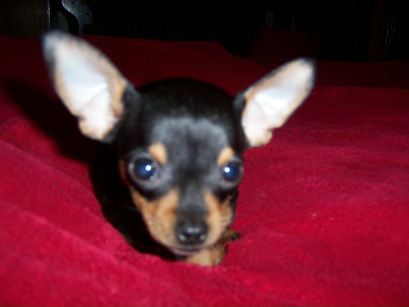 №71, Антон Наседкин, 38 лет №71, Антон Наседкин, 38 лет