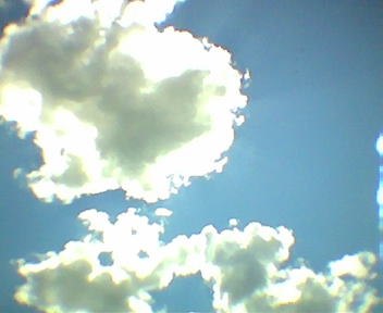 Полина Сигал | Киев