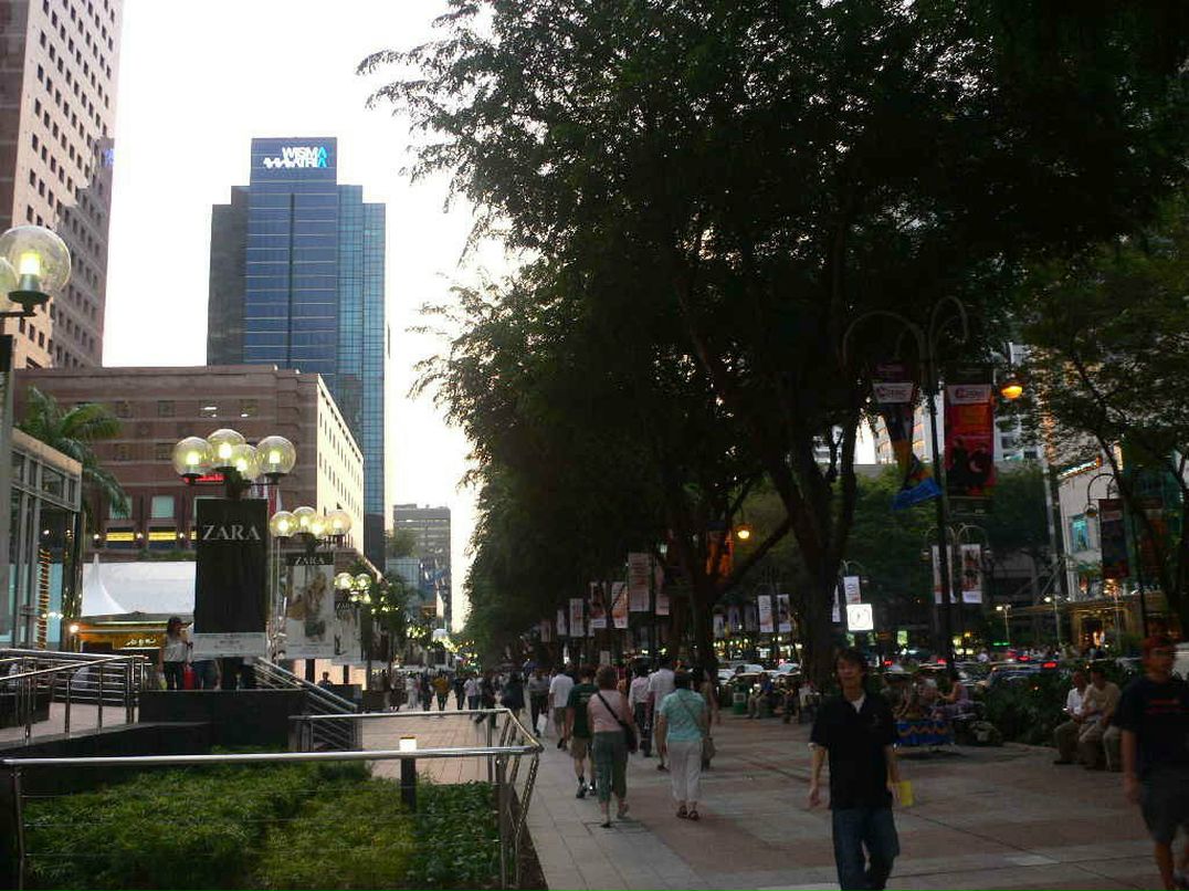 Елена Колонина | Калининград