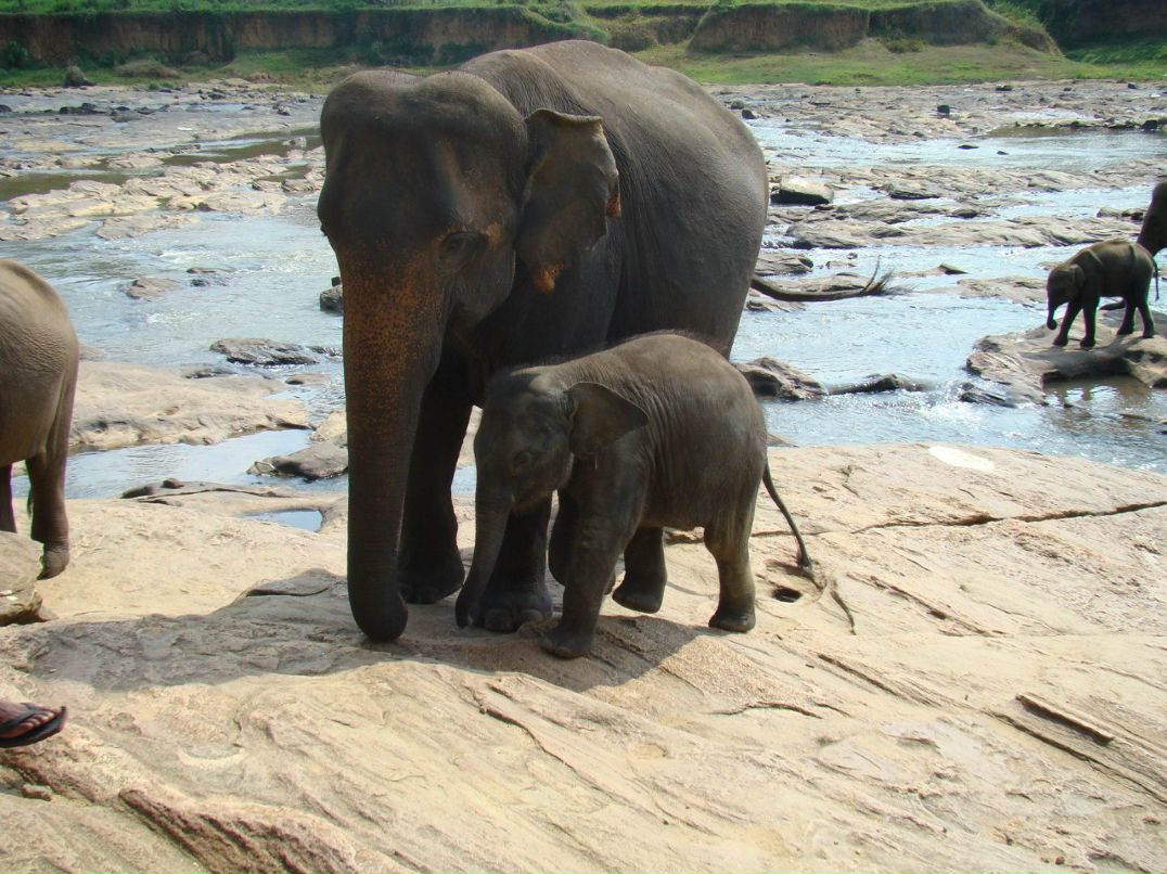 Олег Ройко | Харьков