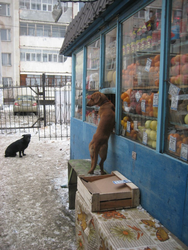 Сергей Кишенин Владимирович | Санкт-Петербург
