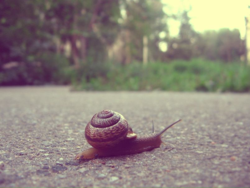 №22, Валерия Мацкевич, Санкт-Петербург №22, Валерия Мацкевич, Санкт-Петербург