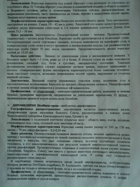 №33, Ирина Шевченко, Шевченко №33, Ирина Шевченко, Шевченко