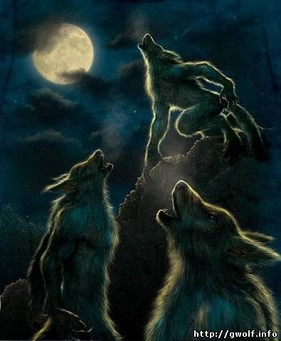 Виталий Андреев | Казань