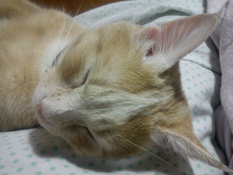 Ирина Демчук | Нежин