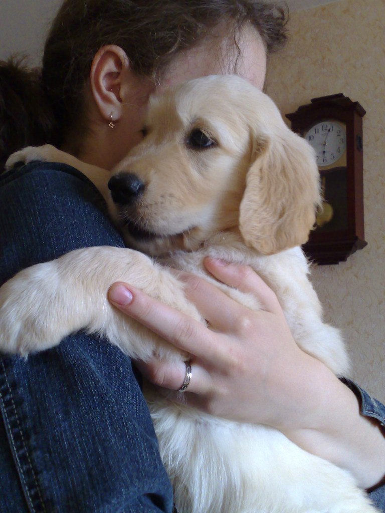 Анна Орлова | Санкт-Петербург