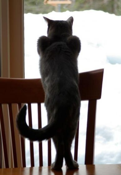 Алина Малышева | Санкт-Петербург