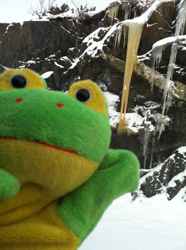 Лягушка Путешественник | 