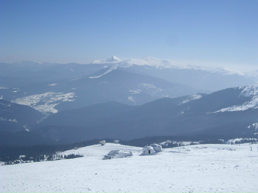 Алексей Палюта | Киев