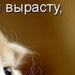 Кристина Илькина фотография #39