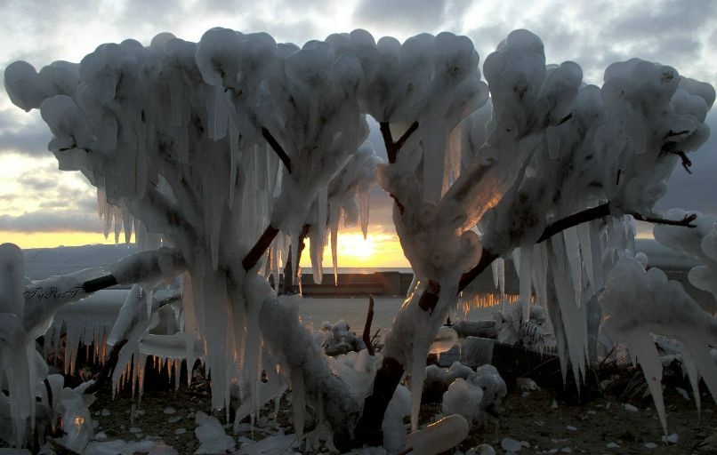 Алексей Верден | 